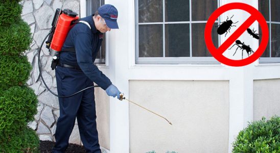 Bahçe Kene İlaçlama böcek ilaçlama ve haşere kontrolü — ilaclama-tr.com